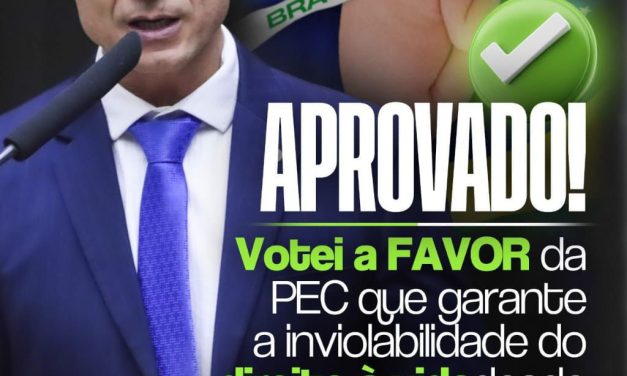 DEFENDEREMOS A VIDA SEMPRE