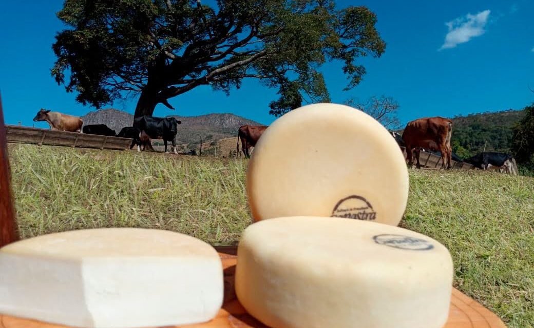 Queijo Minas Artesanal é reconhecido como patrimônio imaterial pela Unesco