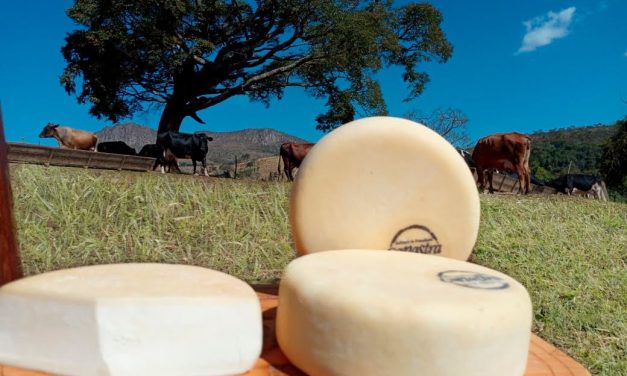 Queijo Minas Artesanal é reconhecido como patrimônio imaterial pela Unesco