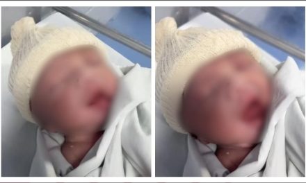 Milagre da Sobrevivência – Bebê retirada do ventre da mãe após crime brutal recebe alta e vence a brutalidade.