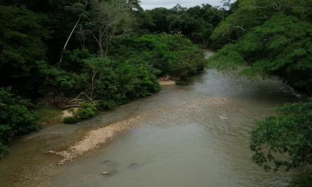 Membros de facção somam mais de 130 anos de prisão após condenação por tortura e morte de jovem em rio de MT