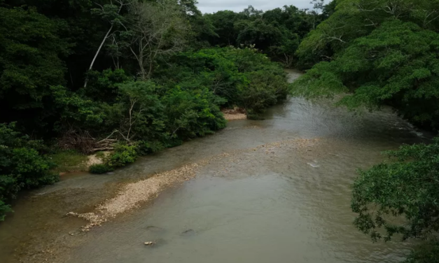 Membros de facção somam mais de 130 anos de prisão após condenação por tortura e morte de jovem em rio de MT