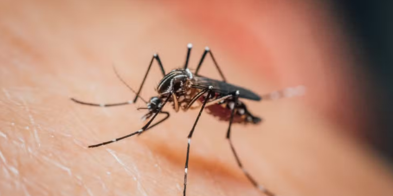 Com mais de 4 mil casos e 9 mortes, Várzea Grande prorroga situação de emergência