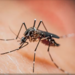 Com mais de 4 mil casos e 9 mortes, Várzea Grande prorroga situação de emergência