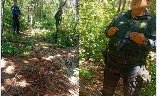 Descoberta Macabra – Duas novas ossadas humanas são localizadas em covas rasas em matagal de VG.