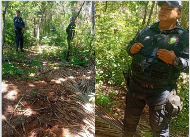 Descoberta Macabra – Duas novas ossadas humanas são localizadas em covas rasas em matagal de VG.
