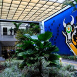 Governo de MT paga salário de fevereiro nesta sexta-feira