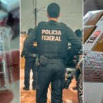PF mira contrabando de canetas emagrecedoras e anabolizantes