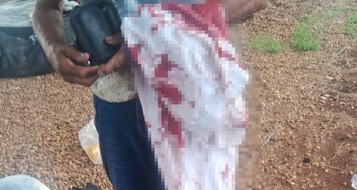 Homem tenta matar a esposa no viaduto da Beira Rio e acaba preso pela polícia