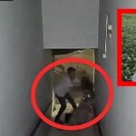 Técnico agrícola é identificado como agressor em série de mulheres em Sorriso