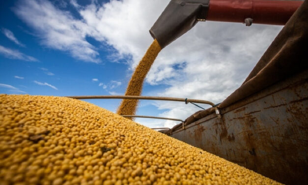 Safra recorde deve derrubar preço da saca de soja para menos de R$ 100 em MT