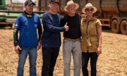 Tradutores chineses acompanham colheita de soja e plantio de algodão em Jaciara durante imersão no agro de MT