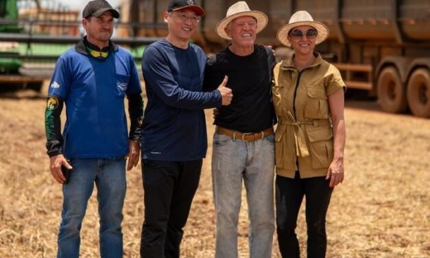 Tradutores chineses acompanham colheita de soja e plantio de algodão em Jaciara durante imersão no agro de MT