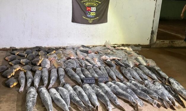 Motorista é flagrado com 340 kg de peixe ilegal durante blitz no bairro Santa Rosa