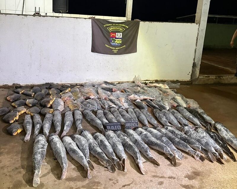 Motorista é flagrado com 340 kg de peixe ilegal durante blitz no bairro Santa Rosa