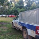 Idoso morre ao cair de curral durante manejo de bovinos no interior