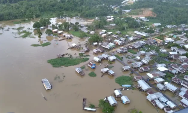 Univaja e DPU denunciam tortura de indígena no Vale do Javari