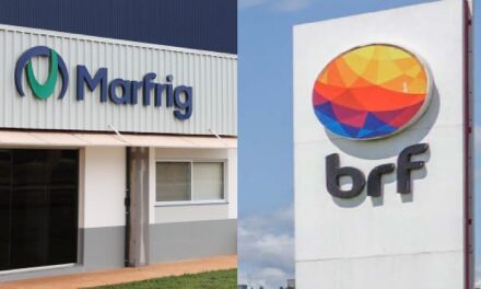 Após 77 abortos, BRF é obrigada a afastar grávidas de setores barulhentos de fábrica em MT