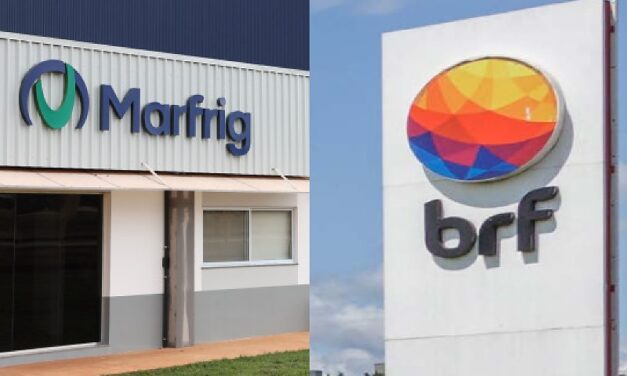 Após 77 abortos, BRF é obrigada a afastar grávidas de setores barulhentos de fábrica em MT