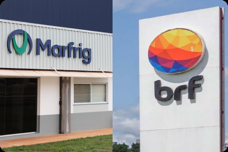 Após 77 abortos, BRF é obrigada a afastar grávidas de setores barulhentos de fábrica em MT