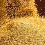Mercado de soja inicia semana cauteloso à espera de dados do USDA – MAIS SOJA