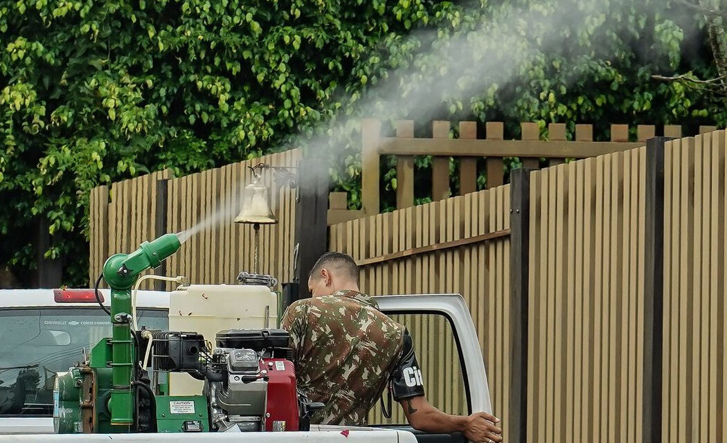 Mato Grosso do Sul vai receber vacina em projeto contra chikungunya