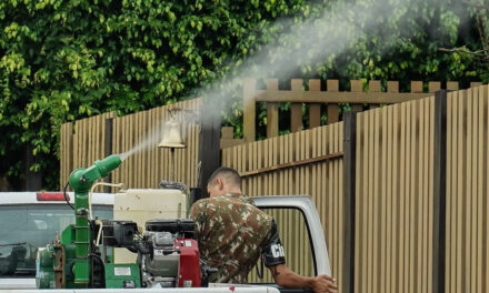 Mato Grosso do Sul vai receber vacina em projeto contra chikungunya