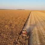 Colheita da soja chega a 96% da área em Mato Grosso e entra na fase final