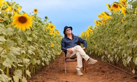 Turnê nacional celebra os 80 anos de Alceu Valença