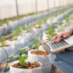 Estudo aponta entraves e caminhos para ampliar uso da agricultura 4.0 no Brasil