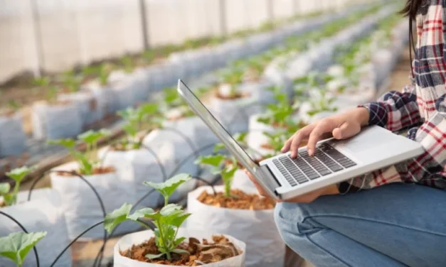 Estudo aponta entraves e caminhos para ampliar uso da agricultura 4.0 no Brasil