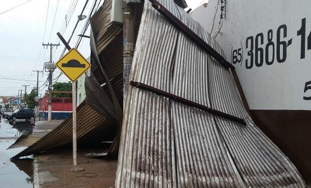 Temporal derruba árvores, poste e destelha posto em VG; veja