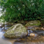 Plano busca fortalecer Sistema Nacional do Meio Ambiente até 2036