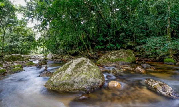Plano busca fortalecer Sistema Nacional do Meio Ambiente até 2036