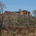 Pesquisa com IA identifica terras agrícolas abandonadas no Cerrado