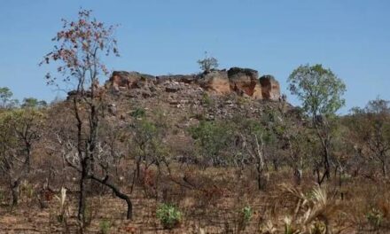 Pesquisa com IA identifica terras agrícolas abandonadas no Cerrado