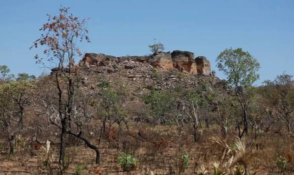 Pesquisa com IA identifica terras agrícolas abandonadas no Cerrado