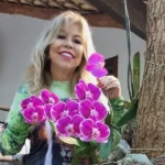 Morre a jornalista e empresária Lauristela Guimarães em Cuiabá; tratava câncer