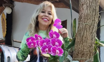 Morre a jornalista e empresária Lauristela Guimarães em Cuiabá; tratava câncer