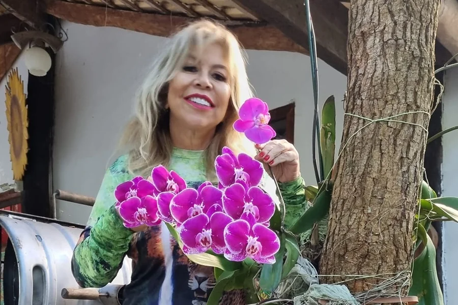 Morre a jornalista e empresária Lauristela Guimarães em Cuiabá; tratava câncer