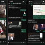 Áudios mostram Estado mobilizado para levar bolsa a Virginia Mendes em SP