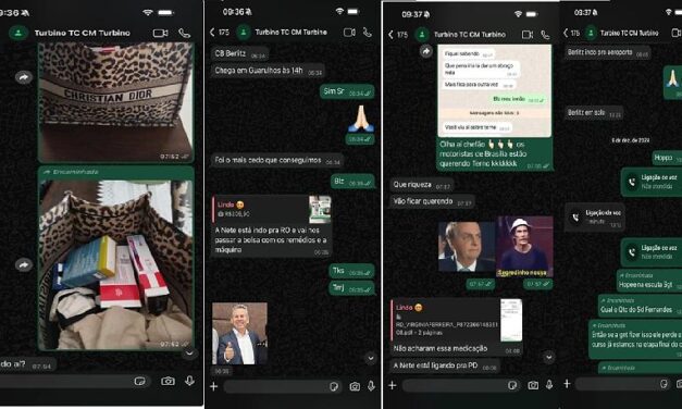 Áudios mostram Estado mobilizado para levar bolsa a Virginia Mendes em SP