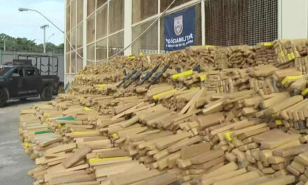 PM apreende três toneladas de drogas, fuzis e pistolas na Maré