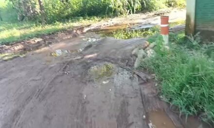 Morador denuncia abandono em bairro de VG: “Estamos esquecidos”