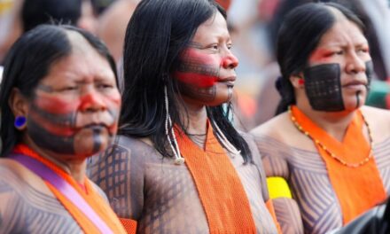 Campanha vai aplicar 89 mil doses de vacinas em territórios indígenas