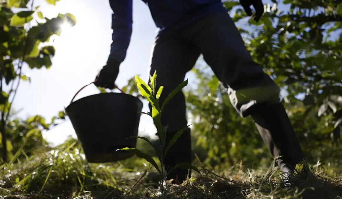 Governo apresenta plano para desenvolver bioeconomia no país