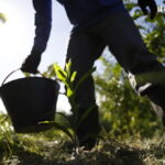 Governo apresenta plano para desenvolver bioeconomia no país