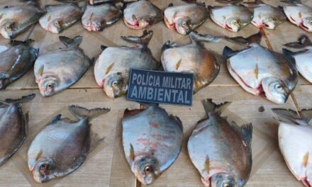 Batalhão Ambiental prende homem com pescado ilegal em MT