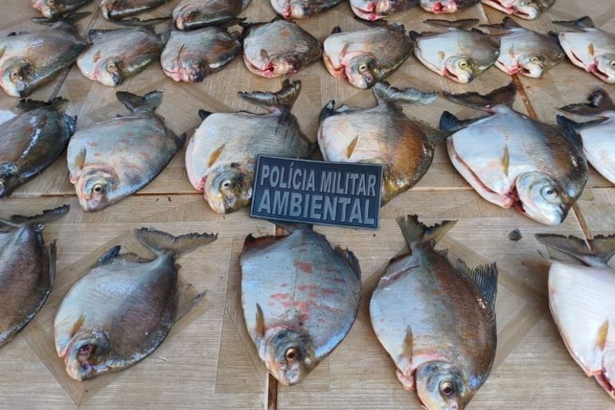 Batalhão Ambiental prende homem com pescado ilegal em MT