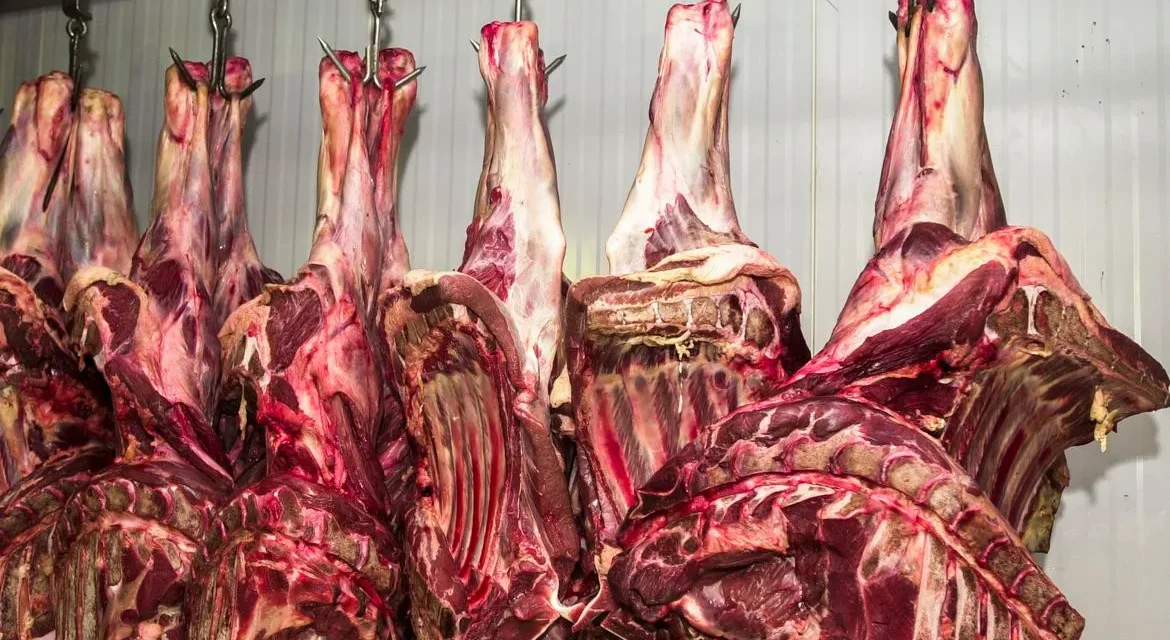 China suspende frigoríficos brasileiros após detectar irregularidades sanitárias em cargas de carne bovina